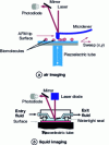 Figure 1 - Principle of the atomic force microscope