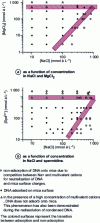 Figure 4 - Phase diagram of DNA molecules interacting with the mica surface