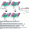 Figure 1 - NEMS nanobalance operation