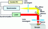 Figure 1 - Schematic diagram of a LIBS spectroscopy system