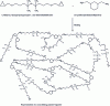 Figure 5 - Description of the formation of the cross-linked polymer from the monomer mixture (representation obtained with ChemDraw software)