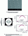 Figure 6 - SEM image of microlens arrays (a) – Profile of a microlens of...