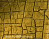 Figure 1 - Network of varnish cracks on the Mona Lisa. Macrophotograph obtained with the multispectral camera at 1,500 dpi.