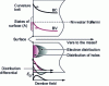 Figure 2 - Surface emission: process involving charge displacement (surface straightening not shown)