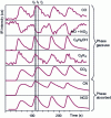 Figure 2 - Correlation of IR analysis of gases (on-line) and adsorbed species during the introduction of four pulses of ethanol on Ag/Al2O3 at 700 K under flux of 1,000 ppm NO and 10% O2 [7]