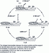 Figure 8 - Mechanism demonstrated [8]