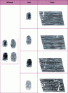 Figure 11 - Application of the non-linear correlator to fingerprint recognition. The images to be analyzed (input) and the filter (reference), representing fingerprints, are presented simultaneously to the correlator. The position of the correlation peak (output) identifies the recognized fingerprint.