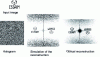 Figure 21 - Fourier hologram encoded with the error diffusion algorithm