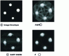 Figure 17 - Sections of the four metal bars obtained from the sinogram in figure 16(b)