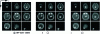 Figure 22 - Reconstructions of the Terakenstein object