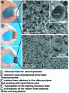 Figure 7 - Global morphosynthesis describing the synthesis of partially graphitized carbon foams with conductivities of the order of 2 S · cm–1 [24] (doc. Wiley-VCH)