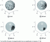 Figure 16 - Experimental results illustrating the attraction of signal polarization to right-hand circular polarization as a function of pump power