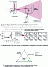 Figure 1 - Principle of the associated particle method for elemental characterization with gamma-ray spectrometry detectors (inorganic scintillators)