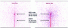 Figure 21 - Simulated neutron beam interaction locations (MCNP Vised visualization tool) showing the effect of neutron scattering within the iron and wood matrices. Here, the beam is focused on the bare HEU cube at the center of the container.