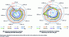 Figure 8 - Radar representation of mass percentages, by size class, of particles emitted during the "0" test.