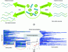 Figure 15 - a) Influence of polymerization methods and reactivity ratios rvinyl and rCKA on copolymer structure, i.e. intra- or intermolecular heterogeneity (blue: vinyl monomer – green: CKA monomer (MDO)), b) simulation of the degradation of individual chains, as obtained by Monte-Carlo kinetic simulations, and corresponding steric exclusion chromatography (SEC) traces calculated for polymer chains and degradation products (reproduced with permission from reference [64])