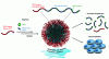 Figure 17 - Synthesis of nanoparticles with degradable cores consisting of block copolymers obtained by RAFT-controlled rROPISA of CKA in DMF followed by transfer to water by dialysis (reproduced with permission according to reference [67])