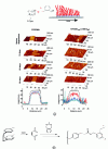 Figure 20 - a) 3D AFM images and 2D cross-sectional profiles of P(PEGMA) brushes with and without BMDO, taken at different time intervals upon exposure to a pH 3 solution at 25°C (adapted with permission from reference [59], [69]. Copyright 2009 American Chemical Society) and b) preparation of polymers based on BMDO and [2,2]para-cyclophane synthesized by CVD