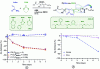 Figure 26 - Evolution of the number-average molar mass Mn with time during enzymatic degradation (Candida antartica, PBS, pH 7.4, T = 37 °C) of a) polymers of type: polyacrylamide (P9), polyacrylamide containing two different ratios of BMDO P(AAm-co-BMDO) P13/P17 and b) reference polymers: polylactide (PLA) and poly(lactide-co-glycolic) copolymer (PLGA) (adapted with permission from reference [82]).