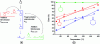 Figure 9 - a) Kinetic competition between vinyl propagation and ring opening, b) percent ring opening of 5-, 6- and 7-membered CKA monomers (solid dots: experimental data; blank dots: theoretical dots (adapted with permission from reference [29]).