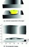 Figure 10 - THz TDS imaging of a five-yen coin between two layers of clay