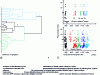 Figure 12 - Classification tools