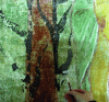 Figure 2 - Example of blackening of the minium used as a pigment in the wall paintings at Saint-Savin Abbey (XIIe century) (photo credit: D. Bouchardon, Laboratoire de recherche des monuments historiques, 2008)