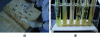 Figure 10 - (a) Swabbing of documents and (b) culture on inclined agar.