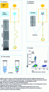 Figure 7 - Example of a microfluidic digital polymerase chain reaction in microdroplets