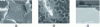 Figure 10 - (a and b) SEM images in secondary mode of the surface of model glasses exposed to rain for six months, detail of scales and pitting, and (c) backscatter image in cross-section of a model glass exposed to rain for 15 months.