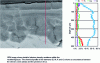 Figure 8 - SEM image in backscattered electron mode of the weathering layer of a model glass exposed for 36 months and chemical profile of the elements Si, Al, K and Ca obtained by EDS analysis.