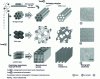 Figure 1 - Diagram illustrating the two formation mechanisms of organized mesoporous silicas