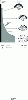 Figure 4 - Diagram illustrating the formation of a mesoporous silica film on a solid support using the EISA method (adapted from [24]).