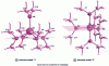 Figure 2 - Molecular representations of PDMAT (after [22])