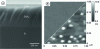 Figure 14 - SEM micrograph of LSM deposited by ALD on Si3N4 [49], (b) Topography of film of La0.7Ca0.3MnO3 on SrTiO3 (100) substrate [51]