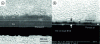 Figure 15 - SEM micrograph of (a) YSZ thin film deposited by ALD [56], (b) BYZ thin film deposited by ALD [58].