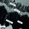 Figure 7 - SEM micrograph of a YSZ electrolyte film deposited by the plasma-modified ALD [30].