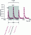 Figure 6 - Screenshot illustrating alternating sequences of precursor introduction (TMA and H2O) and purge periods (argon) during an ALD cycle.