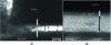 Figure 6 - Transverse section, observed by transmission electron microscopy (TEM), of a 7 nm gap fabricated by ALD between the two gold layers (reproduced with permission [61]. Copyright 2007, AIP Publishing).