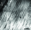Figure 10 - Transmission electron microscopy observation of the dislocation structure after room-temperature deformation of single-phase AHE with TiZrHfNbTa composition (after [87]).