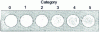 Figure 1 - Standard range for visual assessment of blackhead test