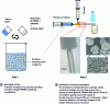 Figure 4 - Manufacturing process for porous polymer resonators based on photo-crosslinkable PDMS