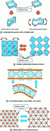 Figure 11 - Other examples of deformation