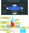 Figure 8 - Stereolithography using the Carbon 3D process [22] [30] (courtesy of Carbon 3D)