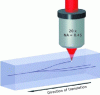 Figure 5 - In
the laser writing process, the laser is focused inside the glass using
an objective and the sample is translated to create the desired structures,
taken from [6]