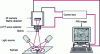 Figure 3 - Principle of the near infrared camera