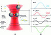 Figure 14 - Schematic diagram of optical trapping in a Gaussian beam