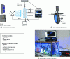 Figure 7 - Example of a laboratory-scale photoreactor for studying hydrogen production by artificial photosynthesis (after [14] and [15]).