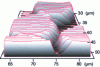 Figure 9 - Raman image of SiC Hi-NicalonMD (Nippon Carbon) fibers in a celsian ceramic matrix