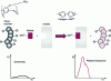 Figure 7 - How an avidin sensor works